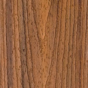 Transcend Havana Gold